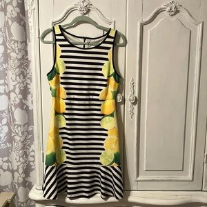 A line Elle summer dress size 10 blk/wh and fruity